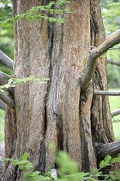 高能电玩节：未来战术渗透模拟游戏《演灭》全新预告影片今日公开